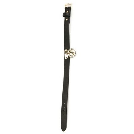 Collier et Laisse Sclave Noirs