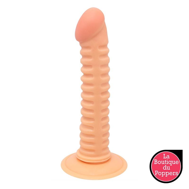 Gode Nervy 17 x 3.2cm