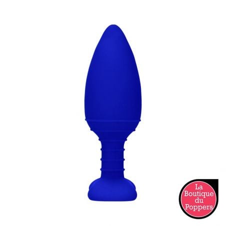 Plug Anal Chauffant et Vibrant 12x3.8cm